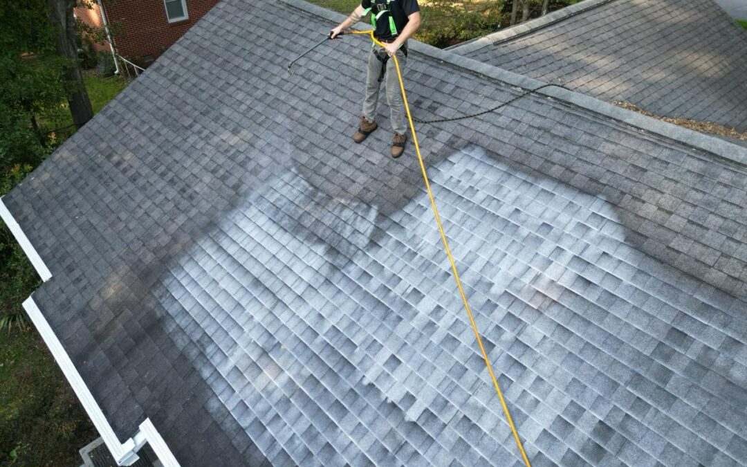 Revamp Your Roof: Color Changing Options with Seal Tech