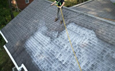 Revamp Your Roof: Color Changing Options with Seal Tech