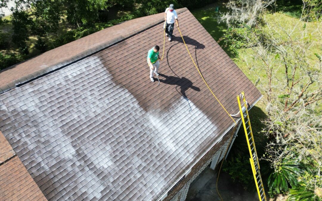 The Science Behind Peak 301: Protecting Your Roof for Decades