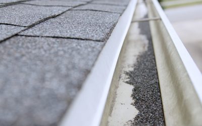 Small Roof Repair Contractors in Charleston: Your Local Experts