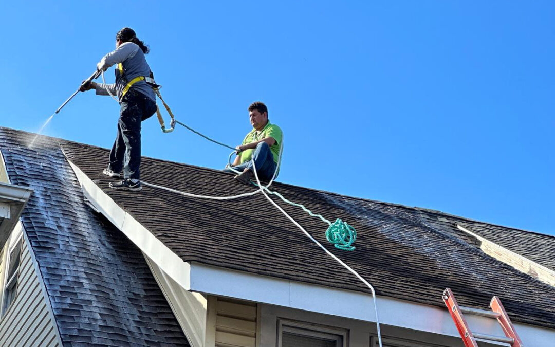 What Is the Best Roof Coating for Shingles?
