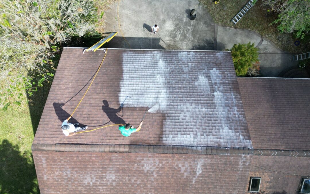 Roof Replacement Alternative: Roof Rejuvenation Explained